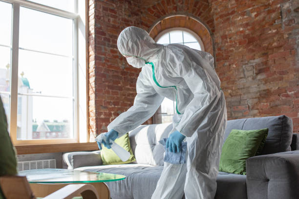 Best Mold Remediation for Healthcare Facilities in Levittown, PA