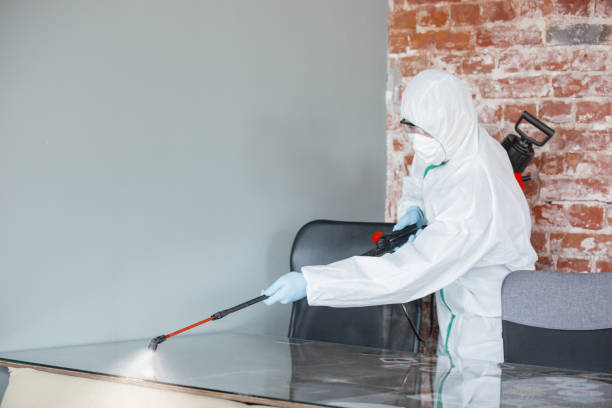 Why You Should Choose Our Mold Remediation Services in Levittown, PA